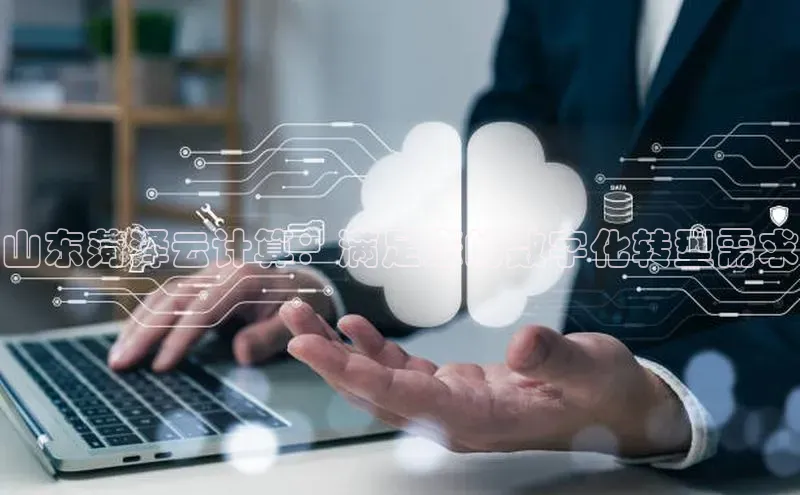 凯捷娱乐同程山东菏泽云计算：满足您的数字化转型需求