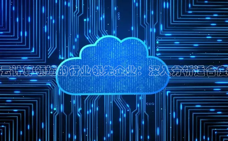 意昂4凯捷娱乐百度社团赞助平台云计算领域的行业领先企业：深入分析适合度