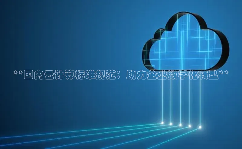 凯捷体育华扬联众**国内云计算标准规范：助力企业数字化转型**