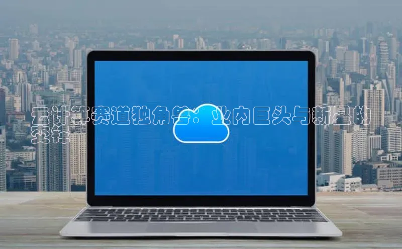 意昂4凯捷宇信科技云计算赛道独角兽：业内巨头与新星的
交锋