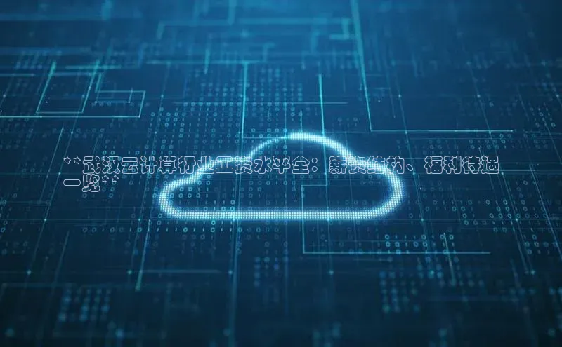 凯捷轻美电器**武汉云计算行业工资水平全：薪资结构、福利待遇
一览**