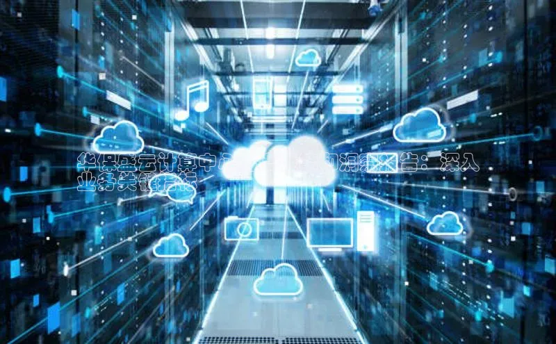 凯捷娱乐阿里尔公司华保盛云计算中心月度性能和洞察报告：深入
业务关键指标