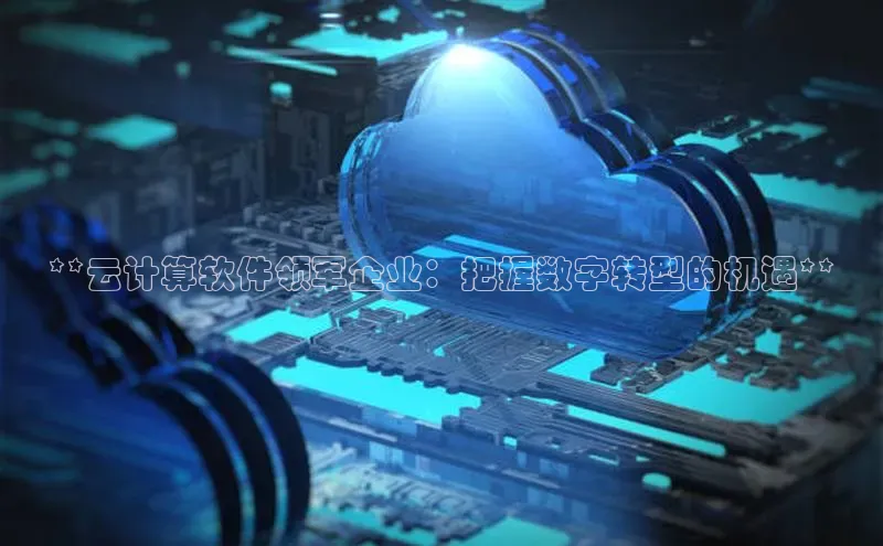 意昂4凯捷体育哇咔哇咔文化**云计算软件领军企业：把握数字转型的机遇**