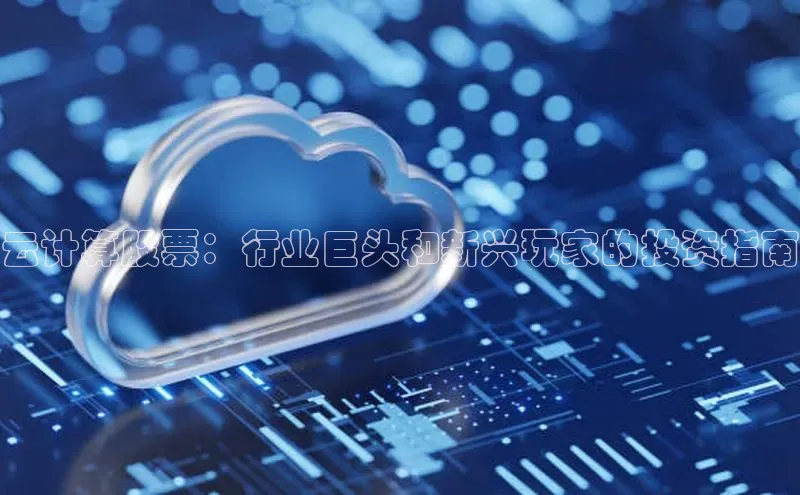 凯捷ARGA公司云计算股票：行业巨头和新兴玩家的投资指南