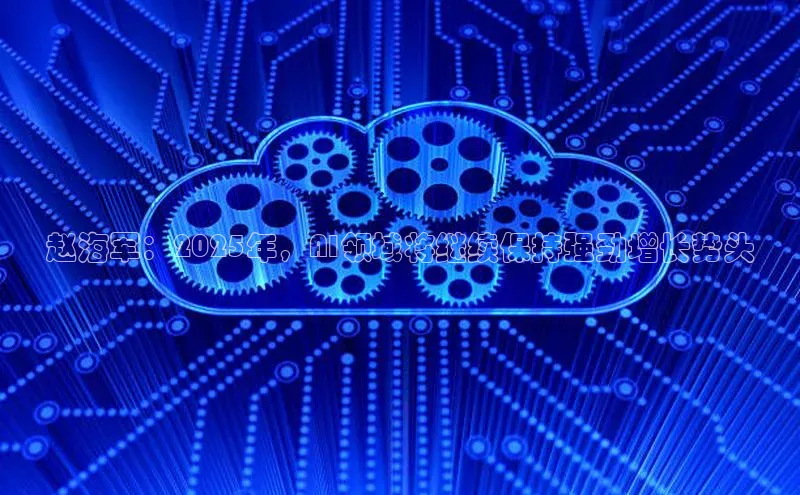 赵海军：2025年，AI领域将继续保持强劲增长势头